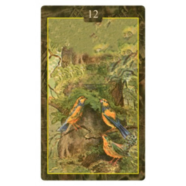 Lenormand cards Paris