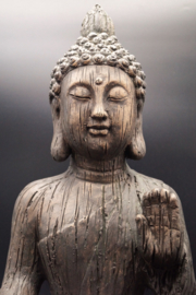 Boeddha woodlook 50 cm