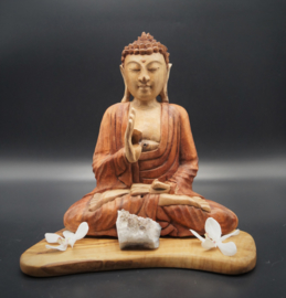 Buddha Suarwood 26 cm x 22 cm