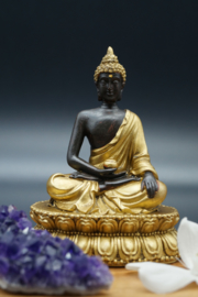 Buddha sitting on lotus in black and gold