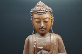 Standing Buddha 50 cm