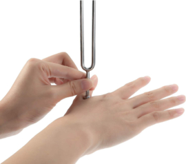 Diapason en acier inoxydable /st
