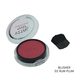 Vital Blusher Pale Pal