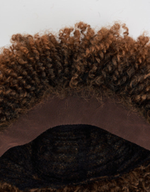 The Feme Collection Afro Lace Wig Loose Twist Out