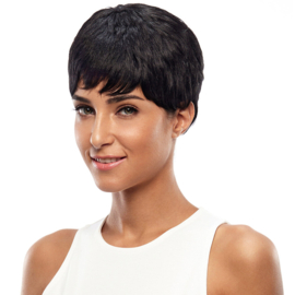 Sleek Hair  Synthetic Fringe Wig - Betty