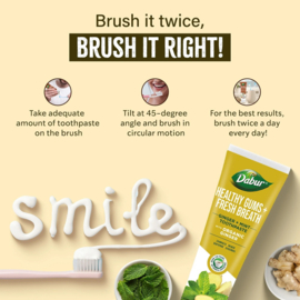 Dabur Tooth Paste Ginger + Mint 100ml