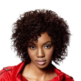 Sleek Human Hair Wig - MIA