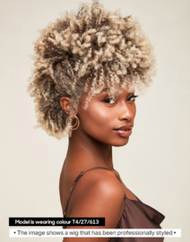 The Feme Collection Afro Lace Wig Loose Twist Out