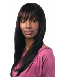 Sleek Synthetic Hair Wig  BEYONCE