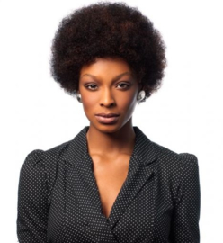 Sleek Human Hair Wig - AFRO