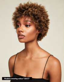The Feme Collection Afro Lace Wig Soft Natural Curls