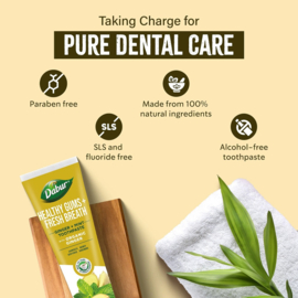 Dabur Tooth Paste Ginger + Mint 100ml