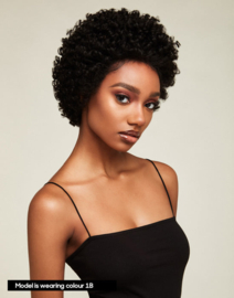 The Feme Collection Afro Lace Wig Jumbo Coiled Pixie