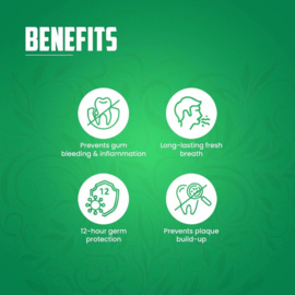 Dabur Miswak Herbal Whitening Toothpaste 100g