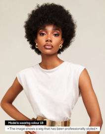 The Feme Collection Afro Lace Wig Jumbo Coiled Pixie