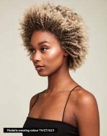 The Feme Collection Afro Lace Wig Loose Twist Out