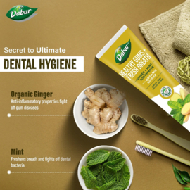 Dabur Tooth Paste Ginger + Mint 100ml