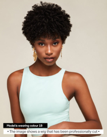 The Feme Collection Afro Lace Wig Super Coiled Pixie