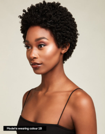 The Feme Collection Afro Lace Wig Super Coiled Pixie