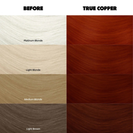 Crazy Color True Copper