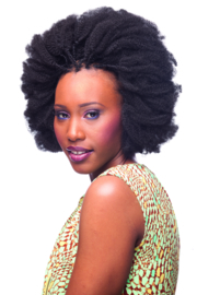 Cherish Afro Kinky Bulk 24”