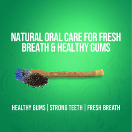 Dabur Tooth Paste MISWAK Black Seed 100ml