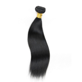 Sleek Brazilian Virgin Straight