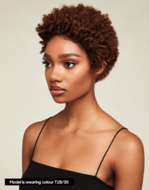 The Feme Collection Afro Lace Wig Classic Kink