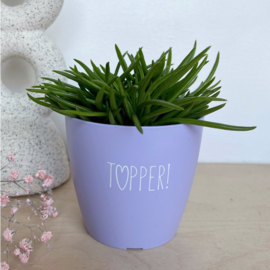 Bloempotje | Topper