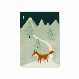 Nocturnal Fox