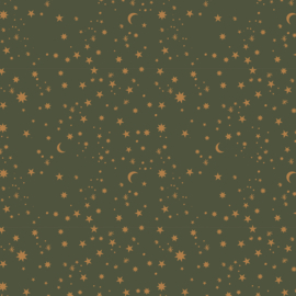 Cadeauzakjes | Galaxy Green 12 x 19 cm