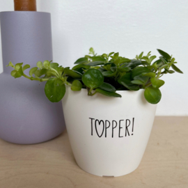 Bloempotje | Topper