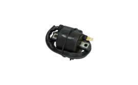 8. Ignition Coil