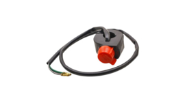 4. Kill Switch