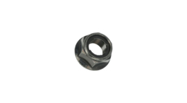 38b. Nut