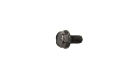 21. Bolt, Flange
