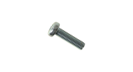 Screw