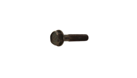 22. Bolt, Flange