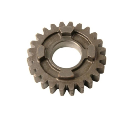 12. Gear, Mainshaft 5th for 125cc