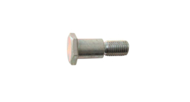 20. Bolt Side Stand