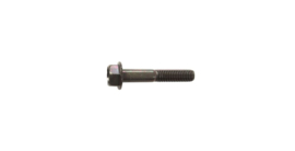 25. Bolt, Flange