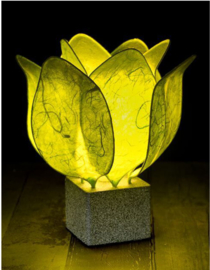 Tulp Lamp - kleur (colour): citroen groen/lime green