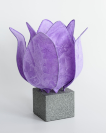 Tulp Lamp - kleur (colour): licht paars/light purple