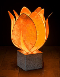 Tulp Lamp - kleur (colour): oranje/orange