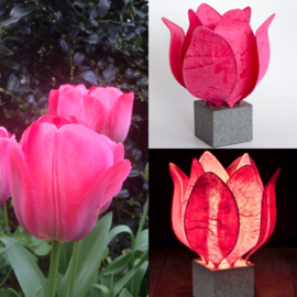 Tulp Lamp - kleur (colour): donker roze/dark pink