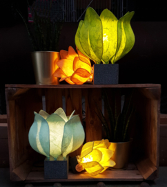 Tulp Lamp - kleur (colour): citroen groen/lime green