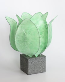 Tulp Lamp - kleur (colour): mint groen/mint green