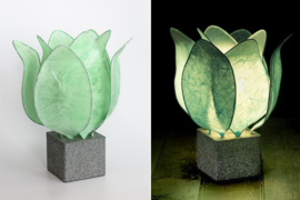 Tulp Lamp - kleur (colour): mint groen/mint green