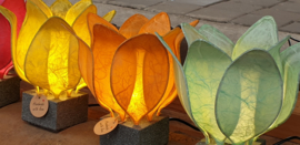 Tulp Lamp - kleur (colour): oranje/orange