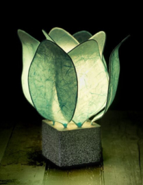 Tulp Lamp - kleur (colour): mint groen/mint green